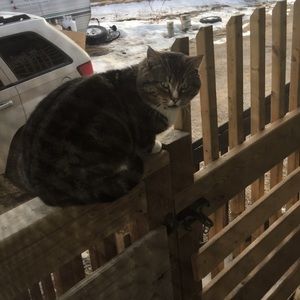 Meet your Posher, Keisha